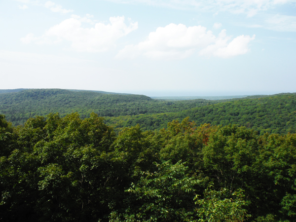 view from the tower